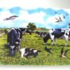 Placemat Koe in de wei | Geharo BV