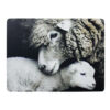 Placemat Schaap en Lam |