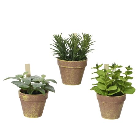 Plant in pot 15x15x17cm | Decoris