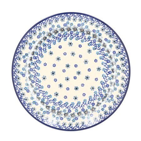 Plate 25