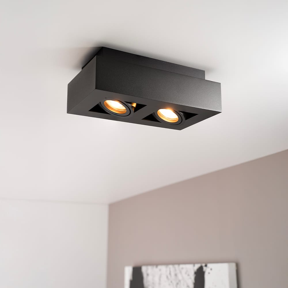 Pollux nero II by LUSENZ - Rechthoekige 2-lichts plafondlamp met richtbare spots