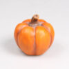 Pompoen aardewerk oranje h10