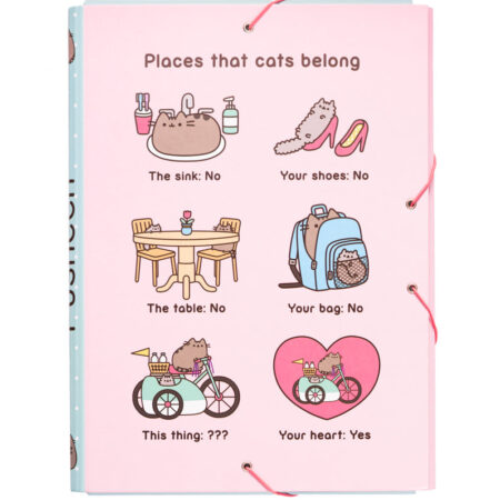 Pusheen elastomap - Places that cats belong | Pusheen