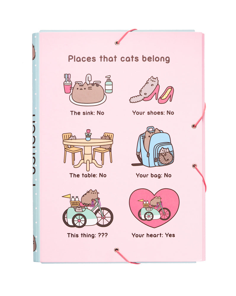Pusheen elastomap - Places that cats belong | Pusheen