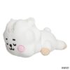 RJ Baby pluche kussen 28 cm | BT21
