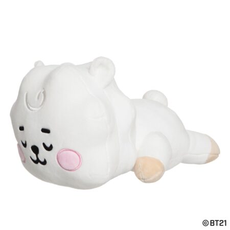 RJ Baby pluche kussen 28 cm | BT21