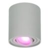 Ray smart Opbouwspot - Plafondspot - Kantelbaar - Rond GU10 - RGBWW - Wifi + Bluetooth - Google Home