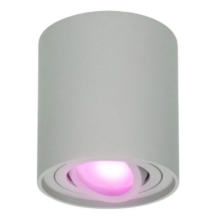 Ray smart Opbouwspot - Plafondspot - Kantelbaar - Rond GU10 - RGBWW - Wifi + Bluetooth - Google Home