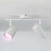 Riga - LED smart plafondlamp - 2 spots - 10 Watt 800 Lumen - Draaibaar en kantelbaar - GU10 - RGBWW - Wifi + Bluetooth - Google Home