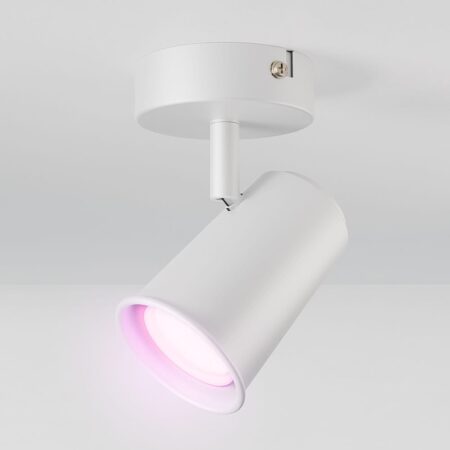 Riga - LED smart plafondlamp - 5 Watt 400 Lumen - Draaibaar en kantelbaar - GU10 - RGBWW - Wifi + Bluetooth - Google Home
