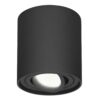 Ronde LED Opbouwspot Ray - 4 Watt 345 Lumen - 4000K neutraal wit - Kantelbaar - GU10 - Opbouwspot - IP20 Voor binnen - Zwart - Dimbaar | HOFTRONIC