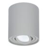 Ronde LED Opbouwspot Ray - 4 Watt 345 Lumen - 6500K daglicht wit - Kantelbaar - GU10 - Opbouwspot - IP20 Voor binnen - Grijs - Dimbaar | HOFTRONIC