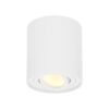 Ronde LED Opbouwspot Ray - 4 Watt 345 lumen - 2700K warm wit - Kantelbaar - GU10 - Opbouwspot - IP20 Voor binnen - Wit - Dimbaar | HOFTRONIC