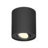 Ronde LED Opbouwspot Ray - 4 Watt 345 lumen - 2700K warm wit - Kantelbaar - GU10 - Opbouwspot - IP20 Voor binnen - Zwart - Dimbaar | HOFTRONIC