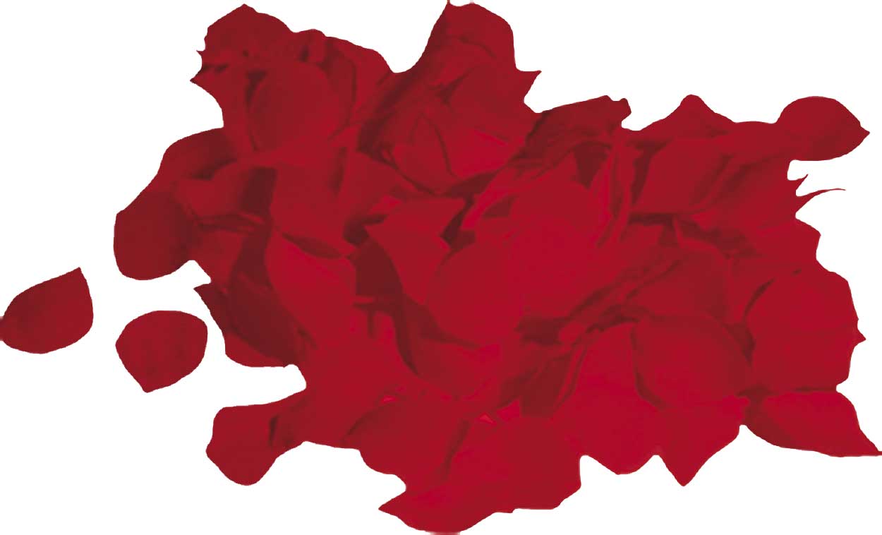 Rozenblaadjes rood 144 stuks pak a 5 | Haza