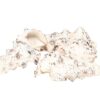 Schelpen Cerethium Nodolosum 500gr | HBX Natural Living
