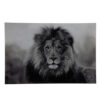 Schilderij Leeuw Wild Life zwart/wit |