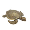 Schildpad White Gold M |