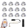 Set van 12 Sienna Smart LED Mini Inbouwspots - Veranda spots - 12V 3W 200lm - Dimbaar - Kantelbaar - Wifi & Bluetooth - 2700K - IP44 - RVS | HOFTRONIC