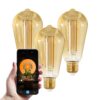 Set van 3 Smart E27 LED Filament Lampen - 7 Watt 806 lumen - ST64 Amberkleurig glas - 1800-3000K Dimbaar - Edison lamp | HOFTRONIC