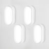 Set van 4 C-Series - LED Plafondlamp wit ovaal - Wandlamp - Scheepslamp - IP54 - 18 Watt - 1830lm - 6500K Daglicht wit - voor binnen en buiten | HOFTRONIC