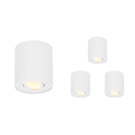 Set van 4 Ray LED opbouwspots - Rond - Dimbaar - 4 Watt 345 lumen - 2700K warm wit - Kantelbaar - GU10 - Plafondspot - IP20 Voor binnen - Wit | HOFTRONIC