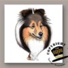 Shetland Sheepdog tegel | The Heads