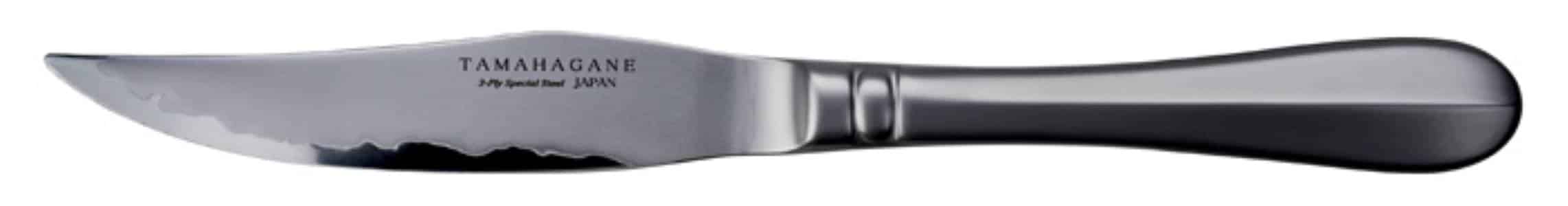 Steakmes Tamahagane - 22.5cm Elegante Snijervaring | Tamahagane