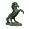 Steigerend paard middel |