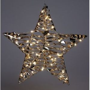 Ster 40cm 60led Shiny Goud |