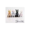 Stoobz Hond met bril 18cm | Stoobz Design