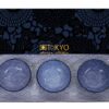 Sushi Servies Set - Tokyo Design Studio Nippon Blue - 4-delig - 33.5 x 13.7 x 2.1 cm | Tokyo Design Studio