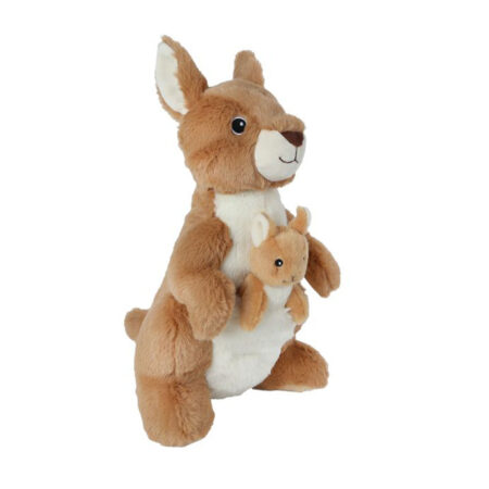 Take me home Kangaroo met baby |
