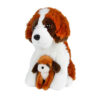 Take me home hond met pup |