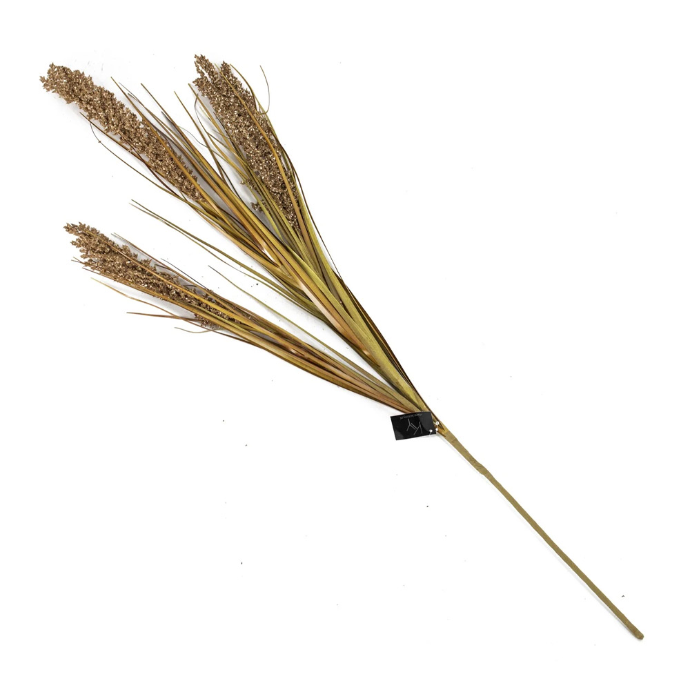Tarwegras bruin |