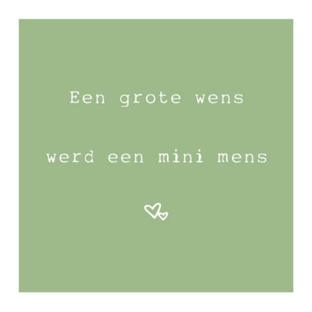 Tegeltje "een grote wens" |