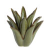 Theelicht Cactus keramiek donker groen L |
