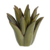 Theelicht Cactus keramiek donker groen M | Light & Living