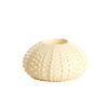 Theelichthouder Sea Urchin Creme | Light & Living