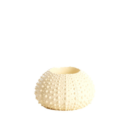 Theelichthouder Sea Urchin Creme S | Light & Living