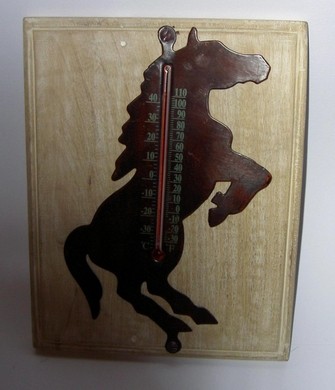 Thermometer Paard | DecoImport