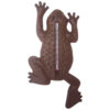 Thermometer kikker gietijzer |