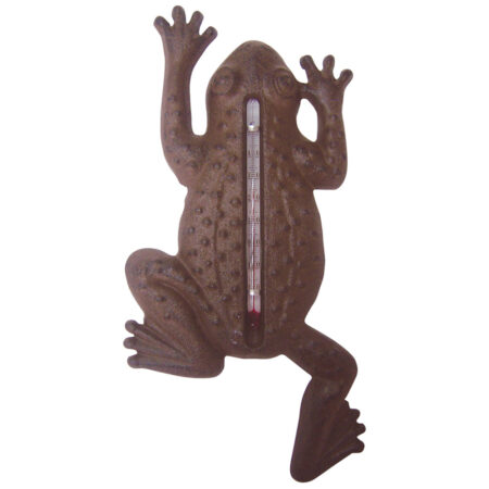 Thermometer kikker gietijzer |