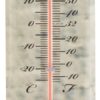 Thermometer varken / Esschert Design | Esschert Design