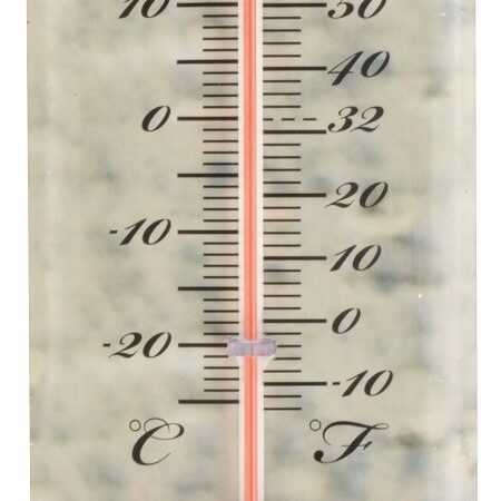 Thermometer varken / Esschert Design | Esschert Design