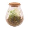 Vaas glas met kunstplant Ø19.5x23.5cm | Naturel Collections