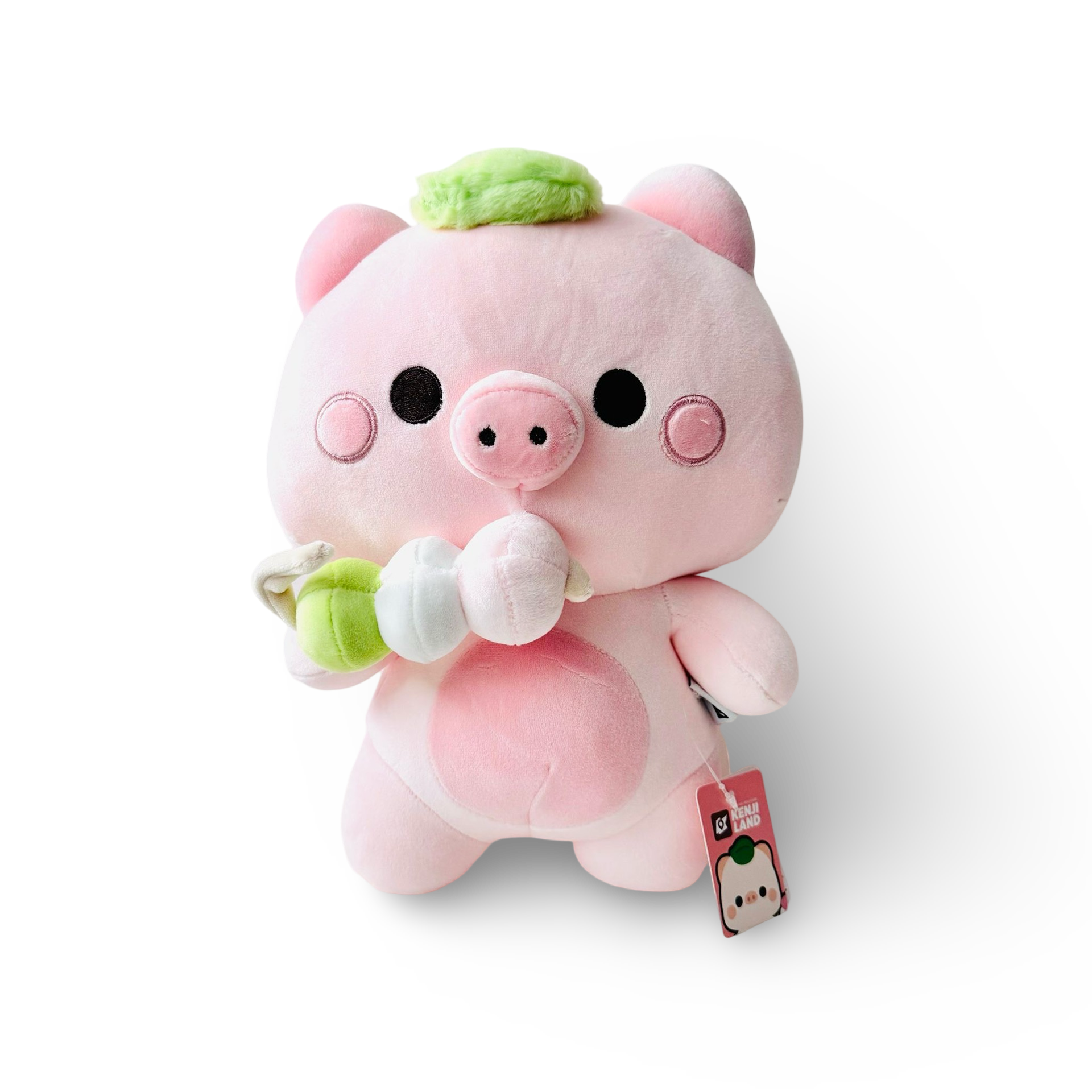 Varken knuffel - KLAND DANGO - JI - 30 cm | Kenji