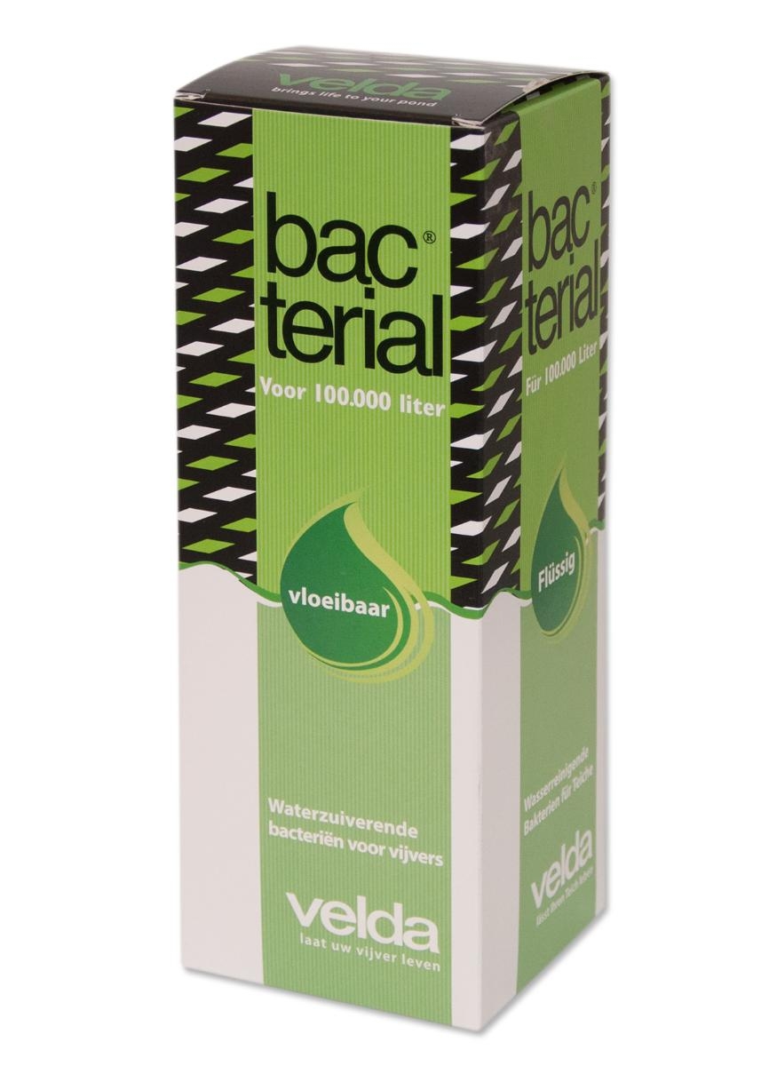 Velda Bacterial Liquid 1000ml | Velda