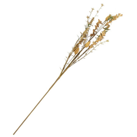 Veldboeketje papaver gold | Homebound