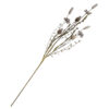 Veldboeketje papaver grijs | Homebound